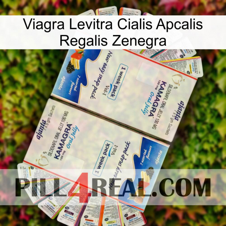 Viagra Levitra Cialis Apcalis Regalis Zenegra kamagra1